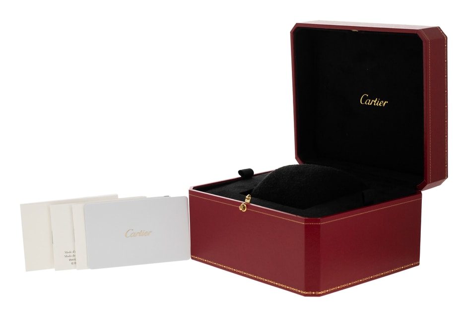 Cartier Santos Dumont WSSA0022 Image 4